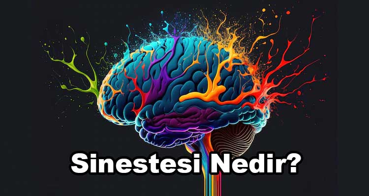 Sinestezi