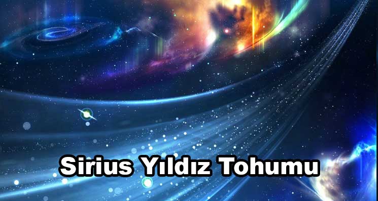 Sirius Yıldız Tohumu Özellikleri