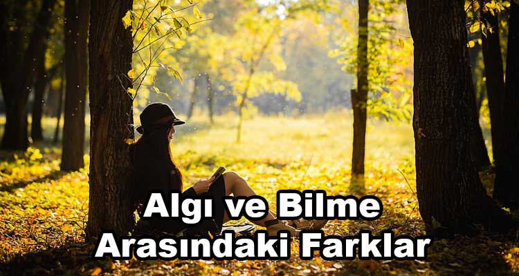 Algılamak ve Bilmek Arasındaki Farklar