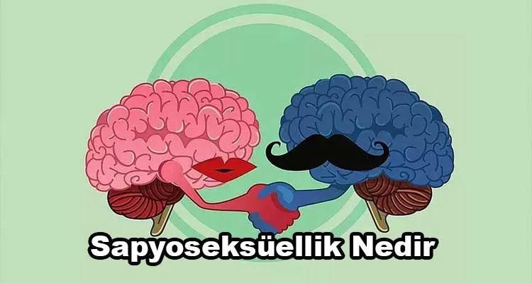 Sapyoseksüel Nedir?